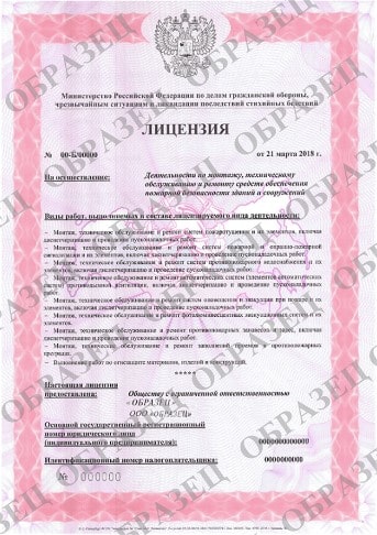 образец лицензии МЧС, который выдавали ранее